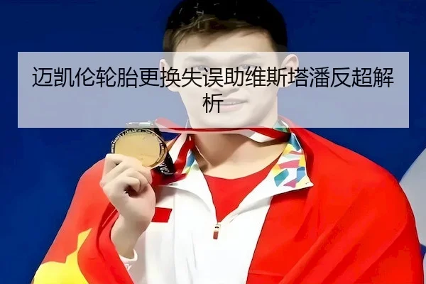 迈凯伦轮胎更换失误助维斯塔潘反超解析 - UED